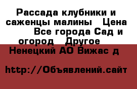 Рассада клубники и саженцы малины › Цена ­ 10 - Все города Сад и огород » Другое   . Ненецкий АО,Вижас д.